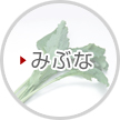 みぶな
