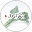 みぶな
