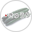 きゅうり