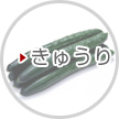 きゅうり