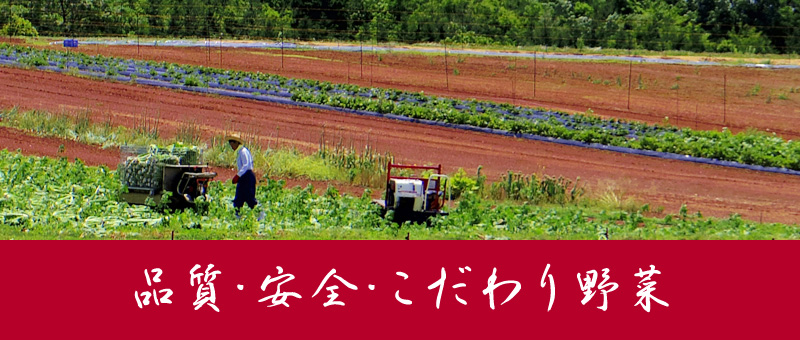 品質・安全・こだわり野菜